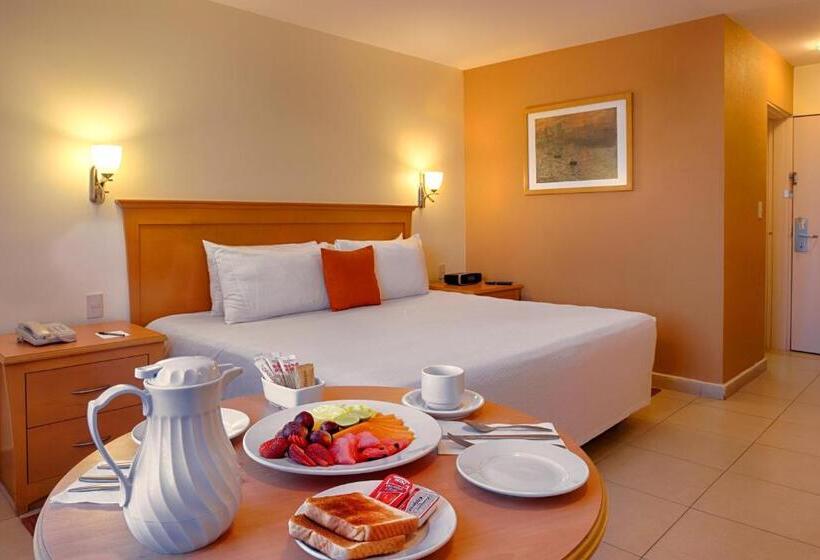 스탠다드 룸 킹사이즈 침대, Araiza Palmira Hotel Y Centro De Convenciones