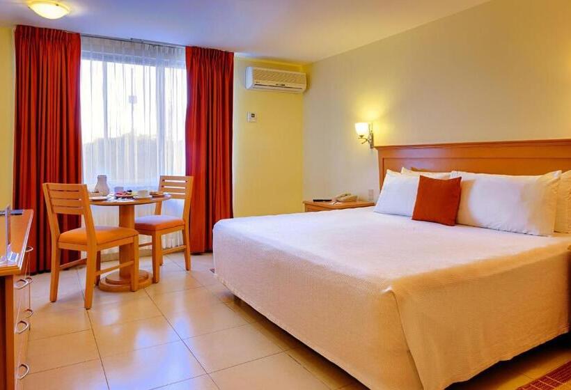 스탠다드 룸 킹사이즈 침대, Araiza Palmira Hotel Y Centro De Convenciones