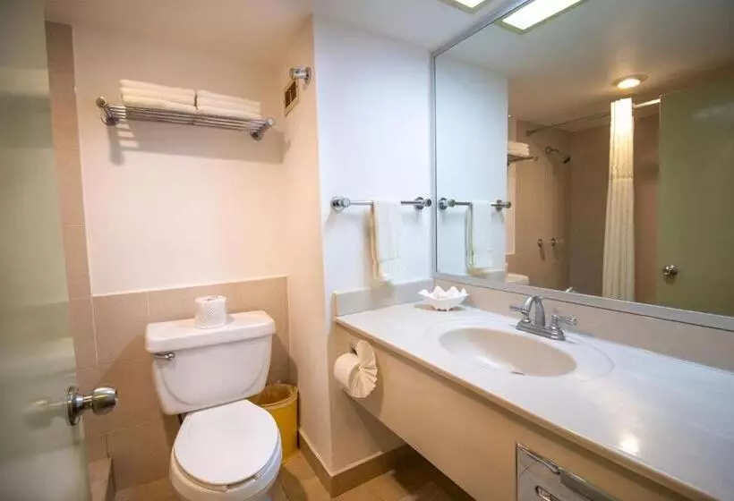 اتاق استاندارد با تخت بزرگ, Araiza Palmira Hotel Y Centro De Convenciones