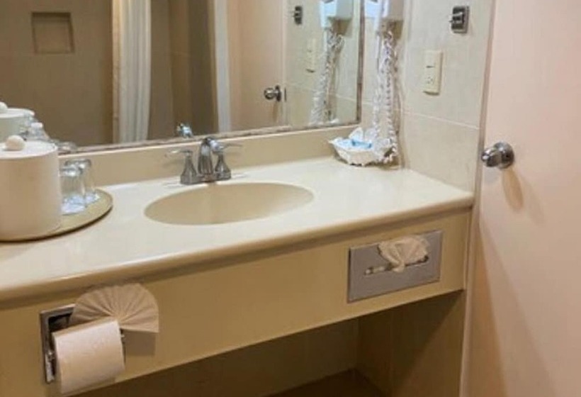 Номер Стандарт, Araiza Palmira Hotel Y Centro De Convenciones