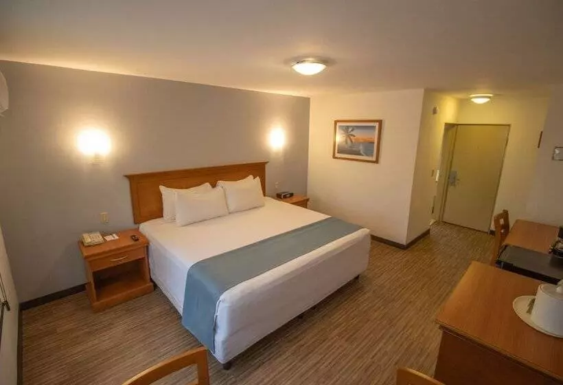 اتاق استاندارد, Araiza Palmira Hotel Y Centro De Convenciones