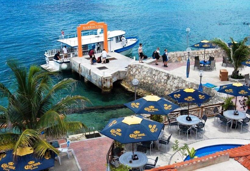 スタンダードルーム, Barracuda