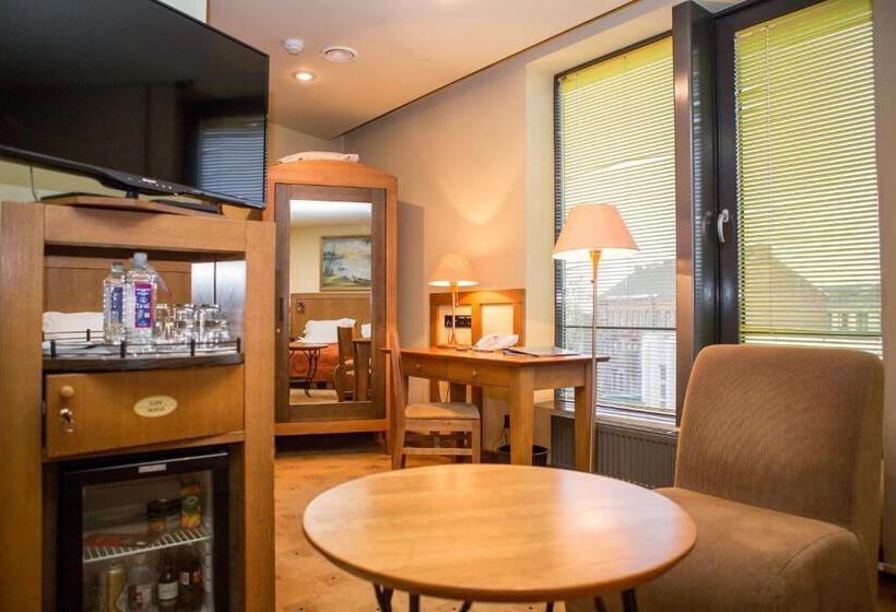 اتاق استاندارد با تخت بزرگ, Best Western Santakos