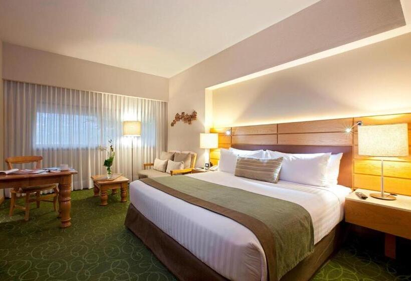 キングサイズベッドのデラックスルーム, Marriott Tuxtla Gutierrez