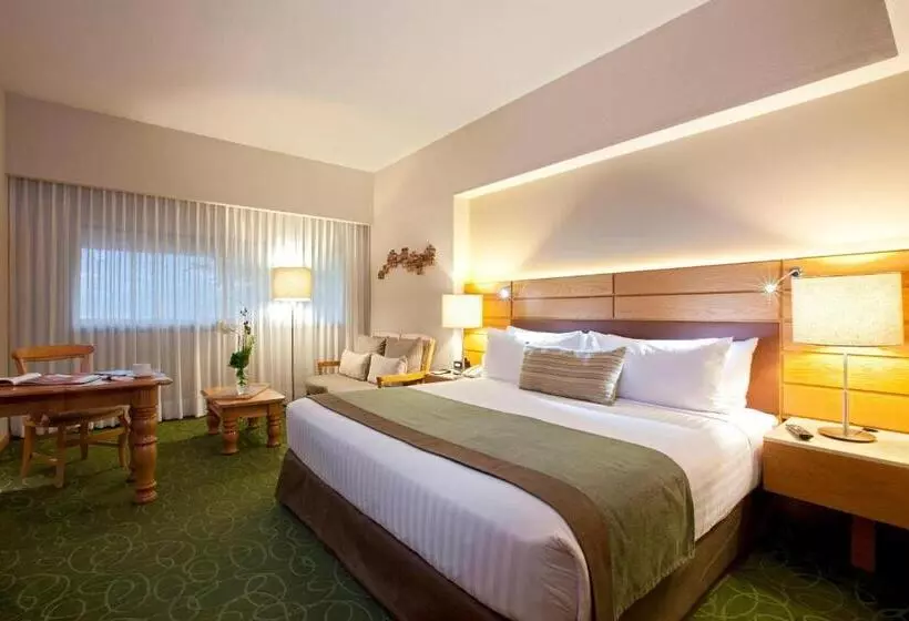 اتاق لوکس با تخت بزرگ, Marriott Tuxtla Gutierrez