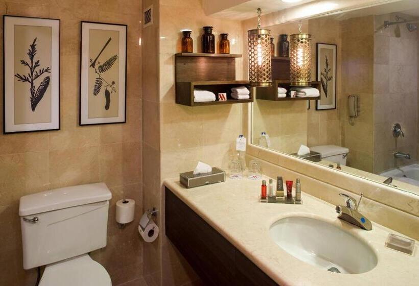 Delüks Oda, Villahermosa Marriott
