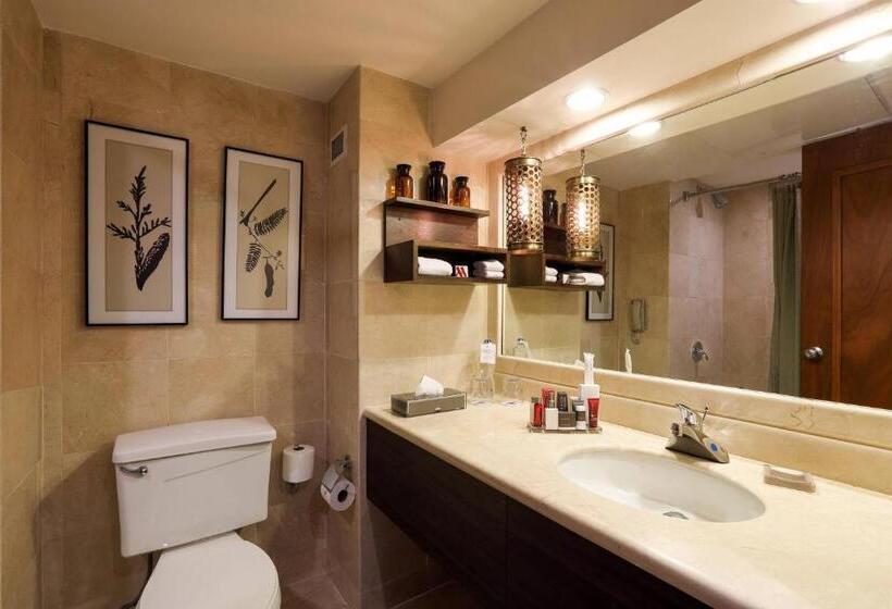 Executive Oda, Villahermosa Marriott