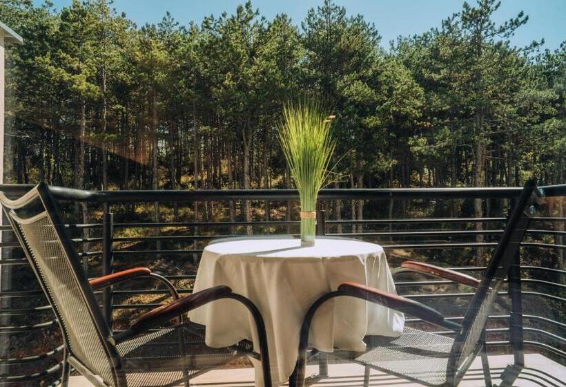 اتاق استاندارد با چشم‌انداز کوهستان, Inex Olgica Hotel & Spa