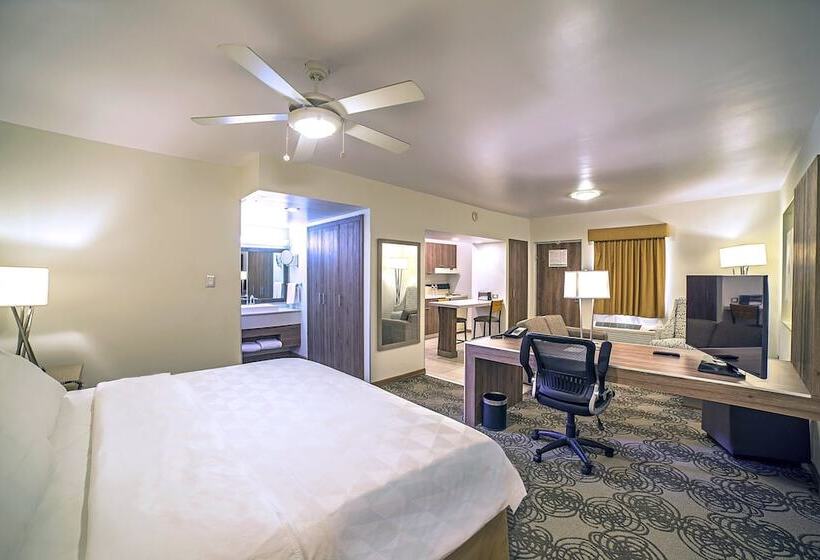اتاق استاندارد, Holiday Inn Hotel & Suites Chihuahua, An Ihg