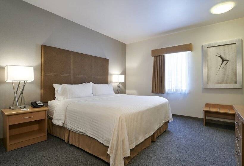 سوئیت 2 خوابه, Holiday Inn Hotel & Suites Chihuahua, An Ihg