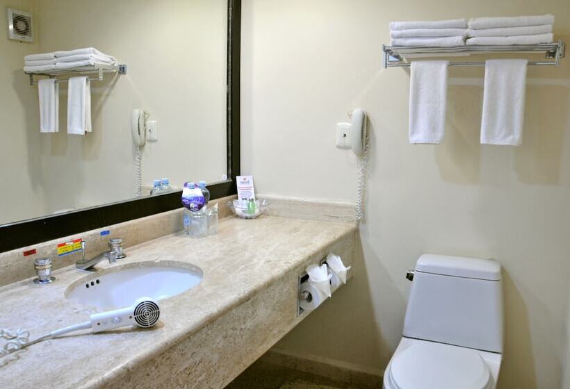 جناح جونيور, Terranova