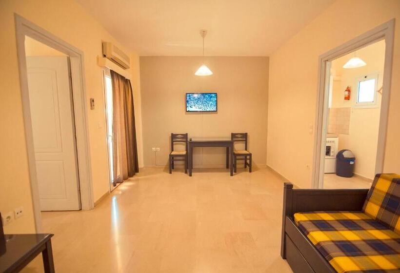 スタンダードスタジオ, Adonis