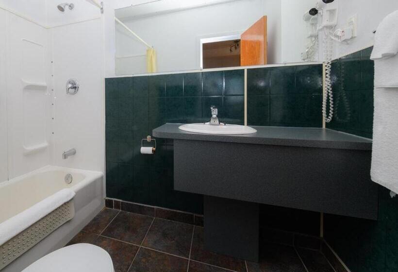 キングサイドベッドのスタンダードワンルーム, Au Pic De L Aurore Motel Chalets