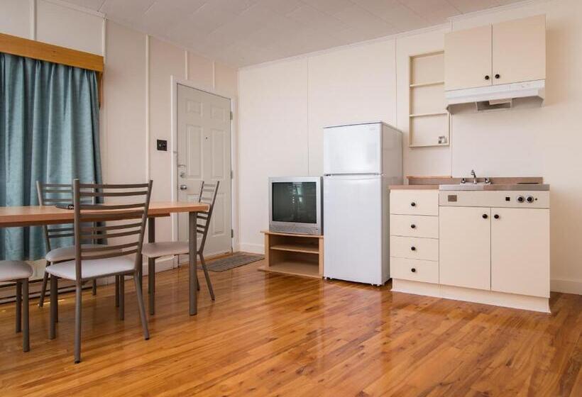 חדר סטודיו סטנדרד, Au Pic De L Aurore Motel Chalets