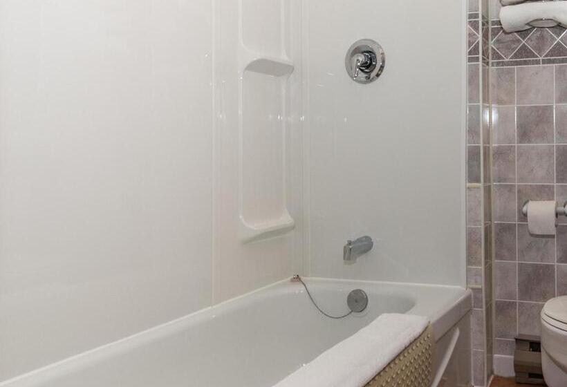 חדר סטודיו סטנדרד, Au Pic De L Aurore Motel Chalets