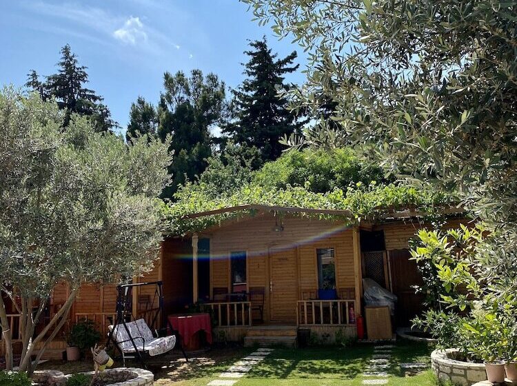 بنجلو ديلوكس, Cilek Butik Otel