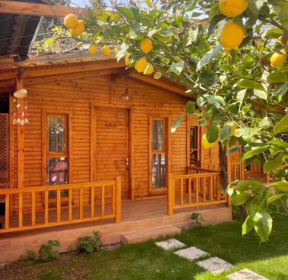 بنجلو ديلوكس, Cilek Butik Otel