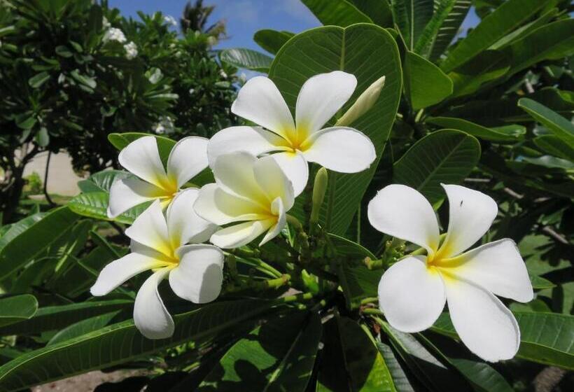 استودیوی استاندارد, Inchcape Seaside Villas