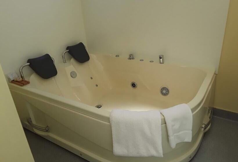 带1个卧室的公寓, Sundowner Motel