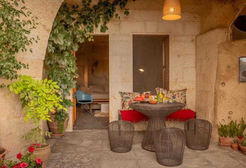 اتاق استاندارد, Serinn House