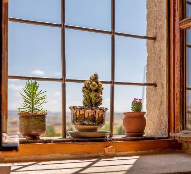 Deluxe Room Mountain View, Serinn House