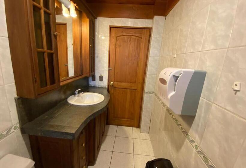Standaardkamer met Gedeelde Badkamer, Hostal El Nogal Pucón