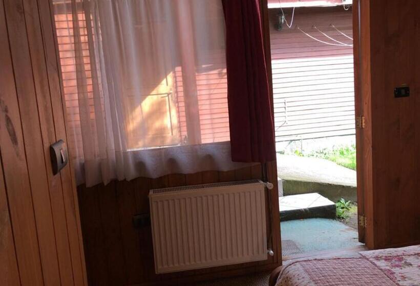 Economy Kamer, Hostal El Nogal Pucón