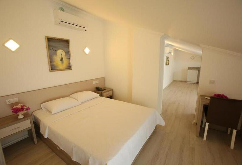 1침실 펜트하우스 아파트, Aria Doria Otel