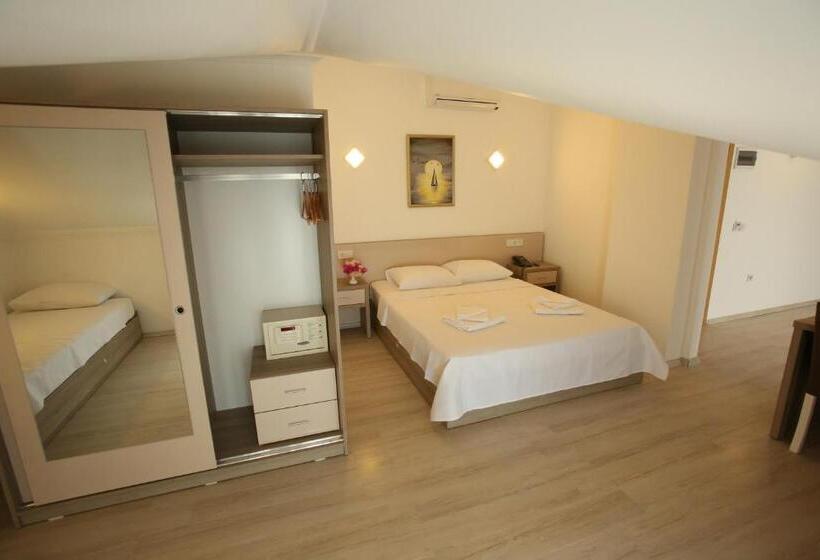 1침실 펜트하우스 아파트, Aria Doria Otel