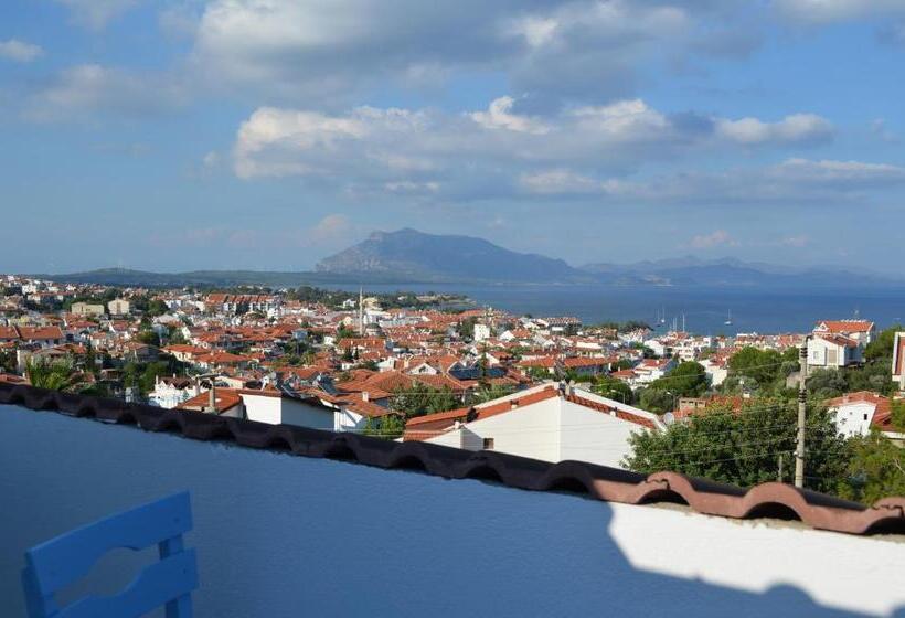 1침실 펜트하우스 아파트, Aria Doria Otel