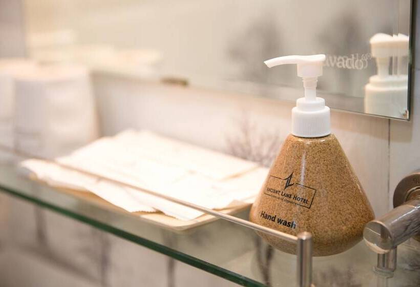 Utcára Néző Deluxe Szoba, Ancient Lane