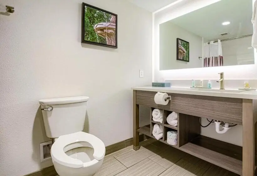 キングサイズベッドのエクゼクティブルーム, La Quinta By Wyndham Mobile