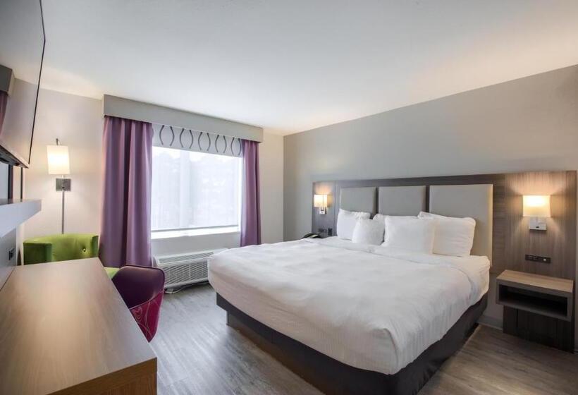 身障者適用キングサイズベッドルーム, La Quinta By Wyndham Mobile