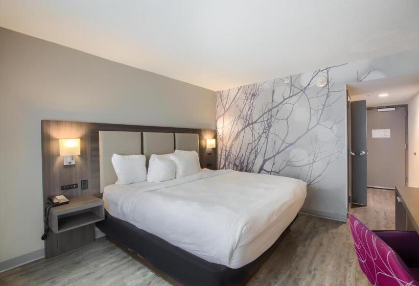 身障者適用キングサイズベッドルーム, La Quinta By Wyndham Mobile