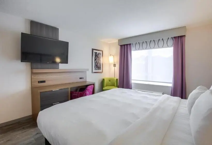 身障者適用キングサイズベッドルーム, La Quinta By Wyndham Mobile