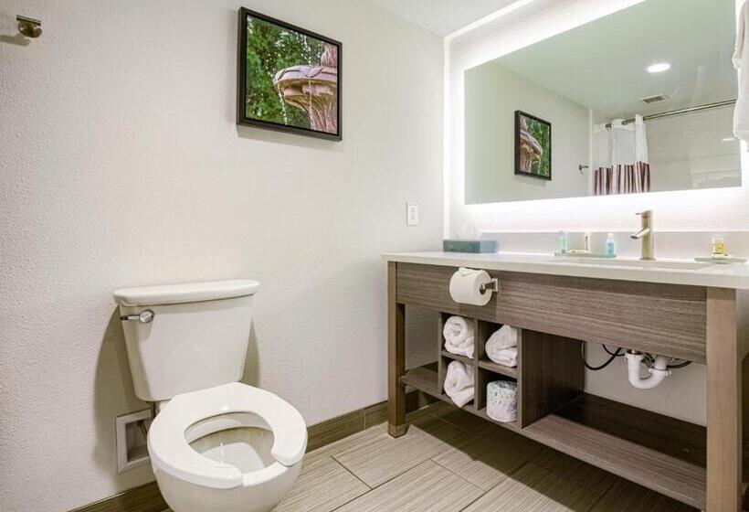 身障者適用キングサイズベッドルーム, La Quinta By Wyndham Mobile
