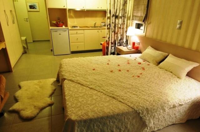 סטודיו משפחתי, Sun George