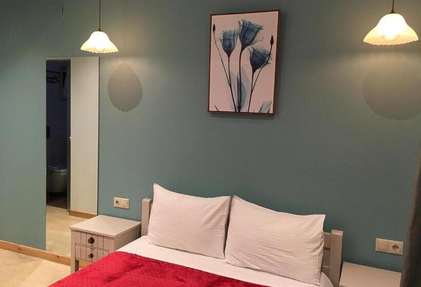 اتاق لوکس, Family Studios Apart