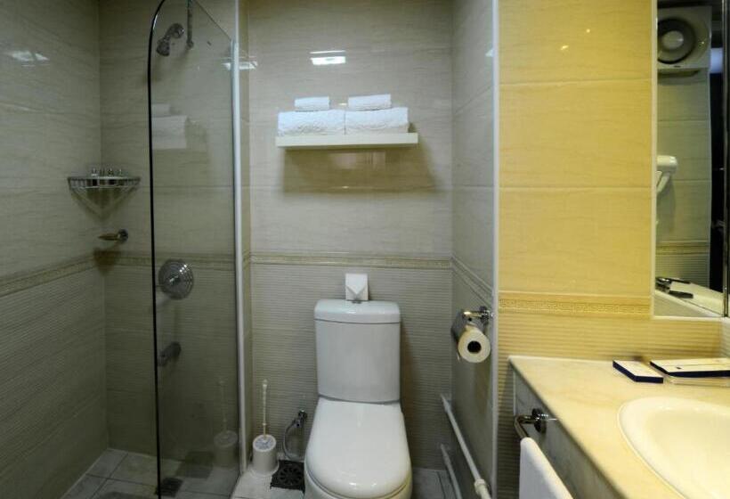 اتاق استاندارد, Bayangol