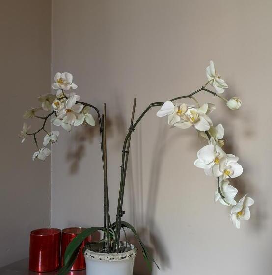 Üç Kişilik Rahat Oda, Villa Kadriorg Hostel