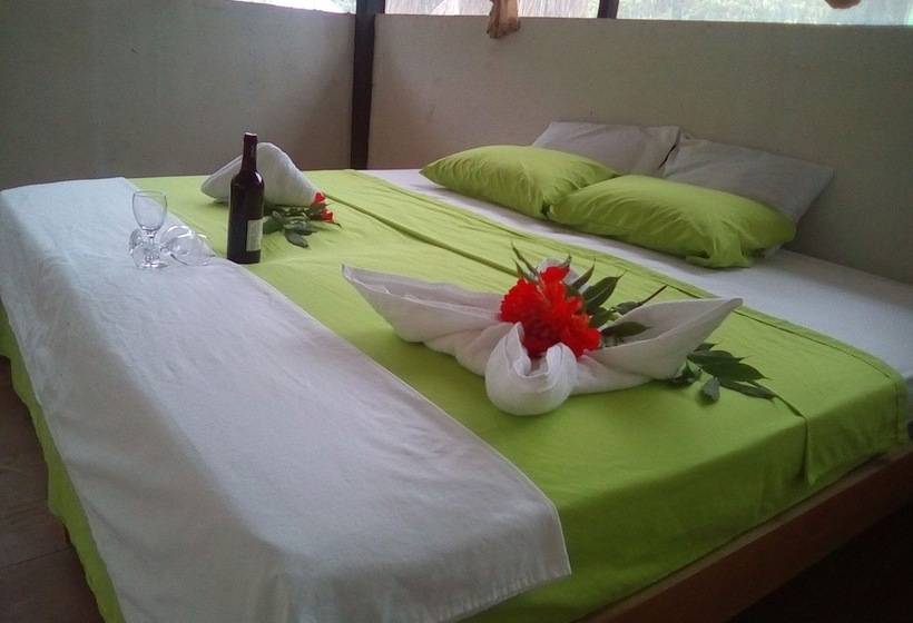 جناح, Amazon Canopy Expeditions Ecolodge