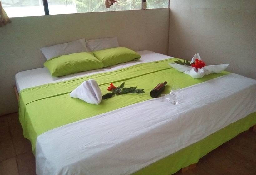 جناح, Amazon Canopy Expeditions Ecolodge