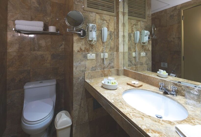 غرفة قياسية فردية, San Agustin Exclusive