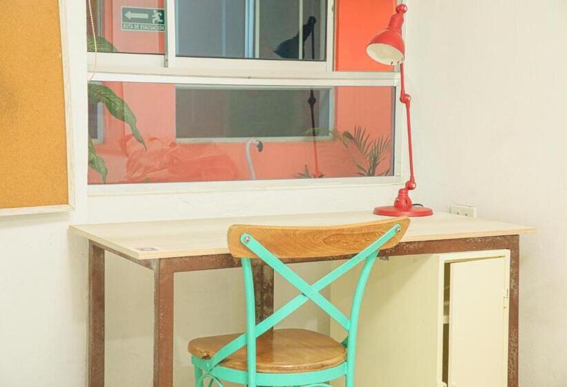 חדר דחוקס עם מיטת קינג, La Brisa Loca Hostel