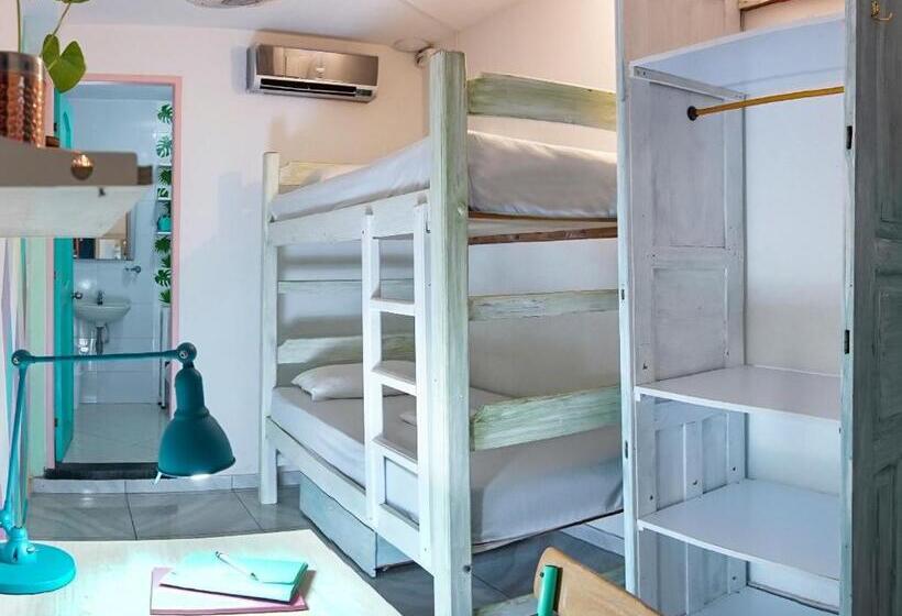 חדר אקונומי, La Brisa Loca Hostel