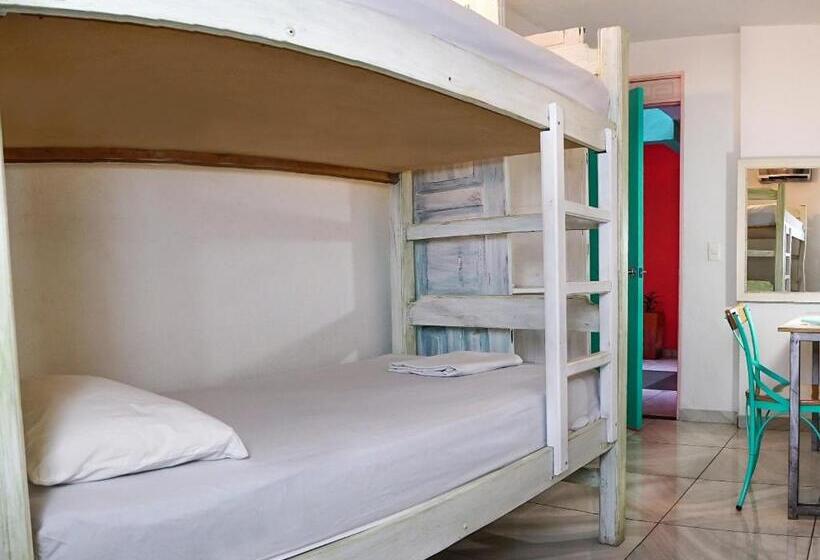 חדר אקונומי, La Brisa Loca Hostel