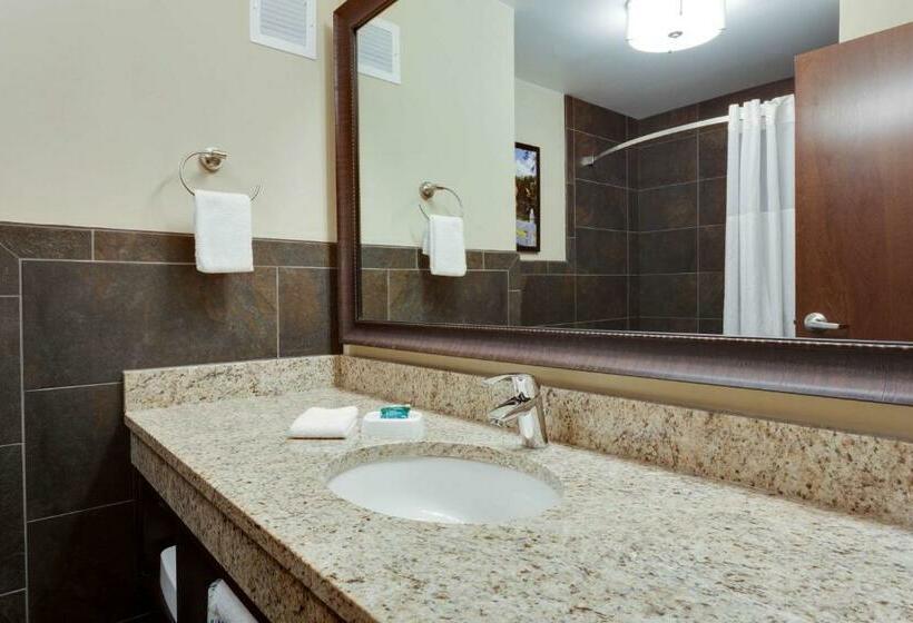 キングサイズベッドのスイートルーム, Drury Inn & Suites Dallas Frisco