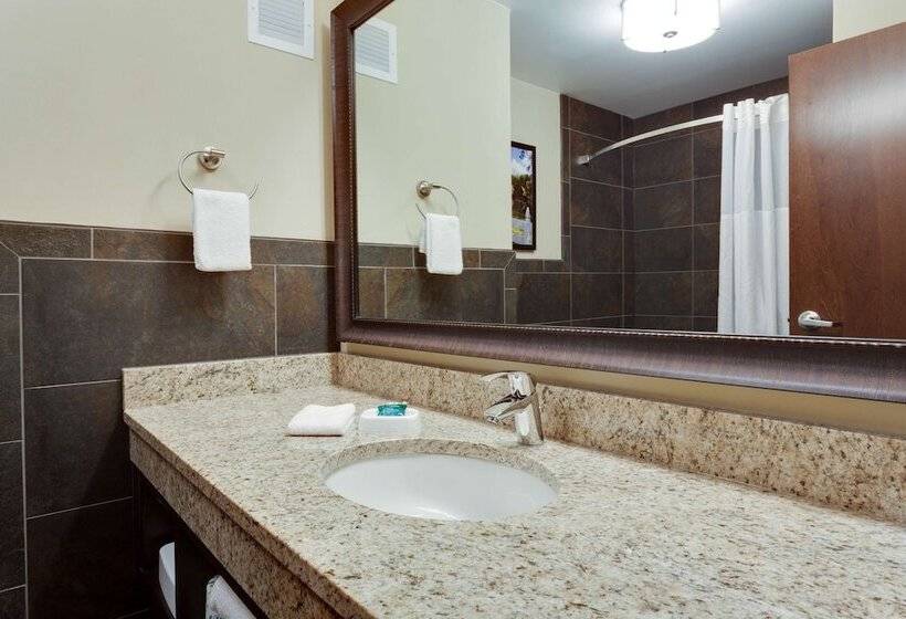 障害者適応デラックスルーム, Drury Inn & Suites Dallas Frisco