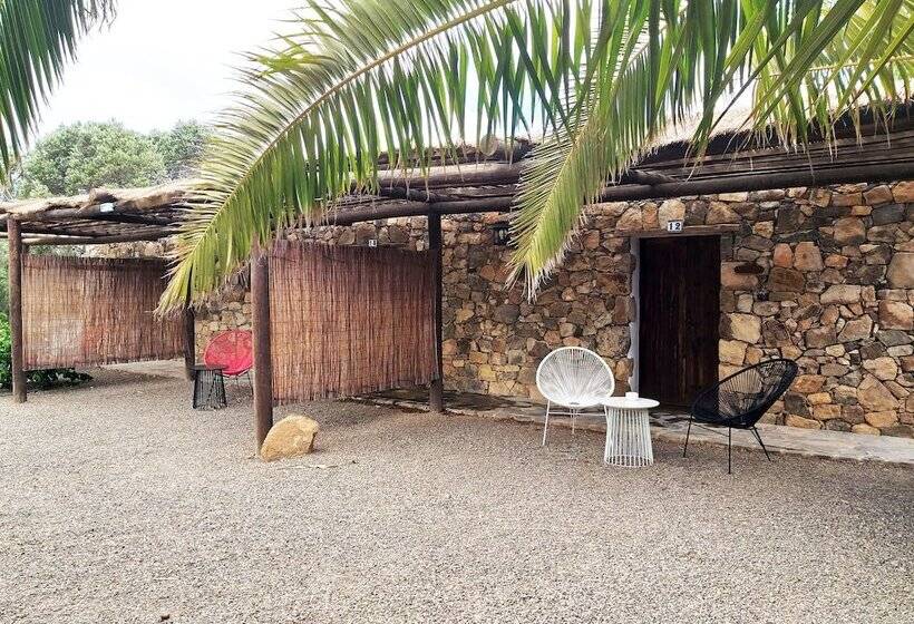 Номер Стандарт, Rural Rugama