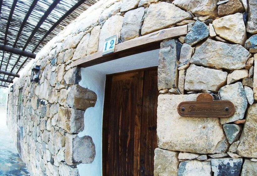 Номер Стандарт, Rural Rugama